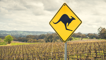 Canada’s pension funds bet big on Australian agriculture