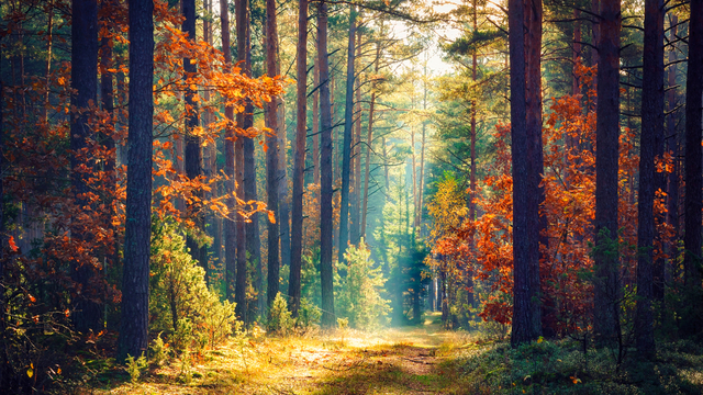Beyond Profit: Making natural capital matter
