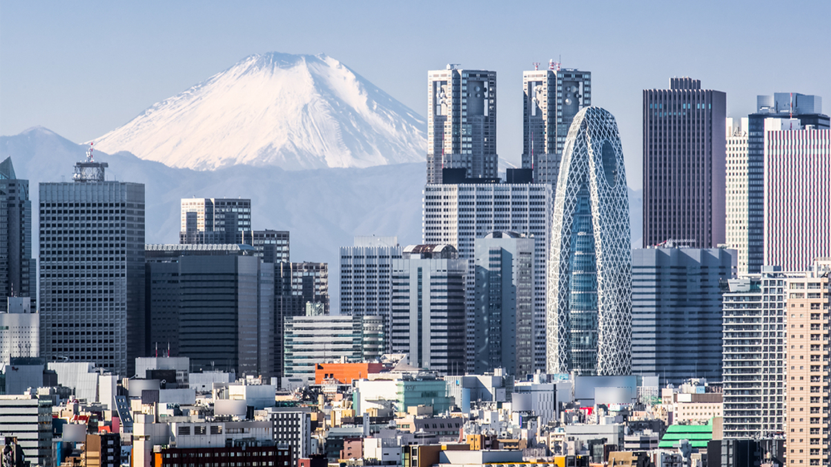 GPIF formalises impact investment policy to diversify portfolio