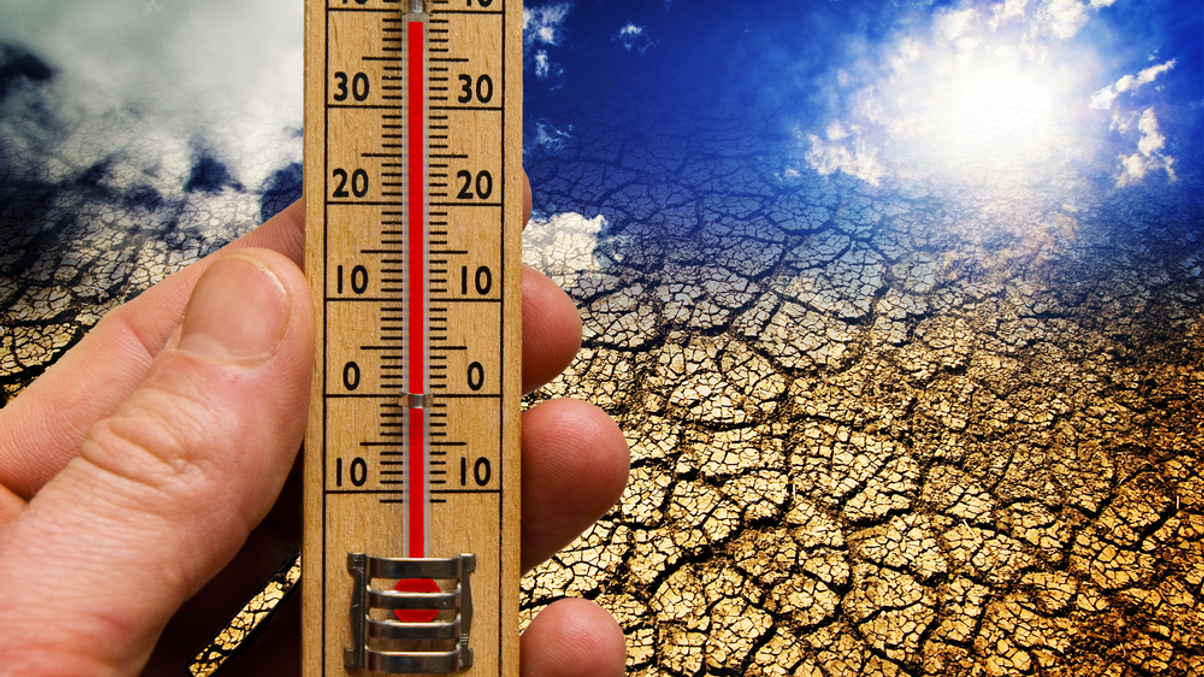 Institutions pull back on climate action as regulations intensify