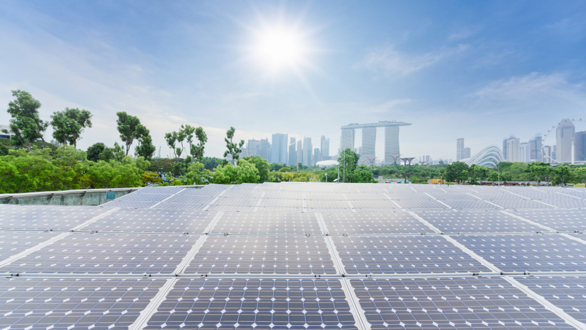 Ex-MAS chief sustainability officer launches advisory firm