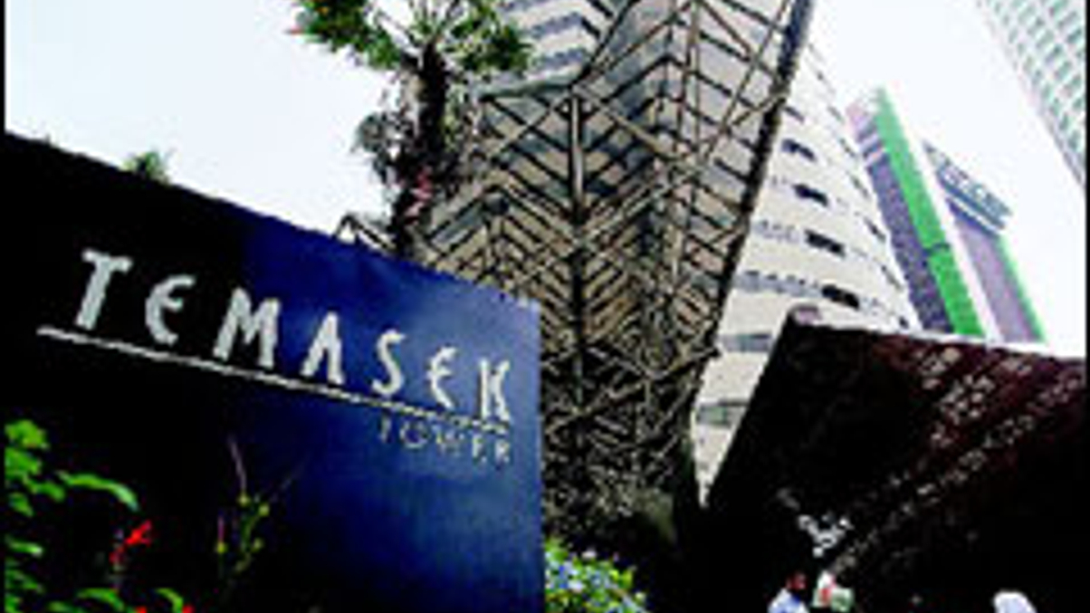 Temasek's expansion pays off with a 19% one-year return
