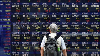 Japanese life insurers divided on equities exposure
