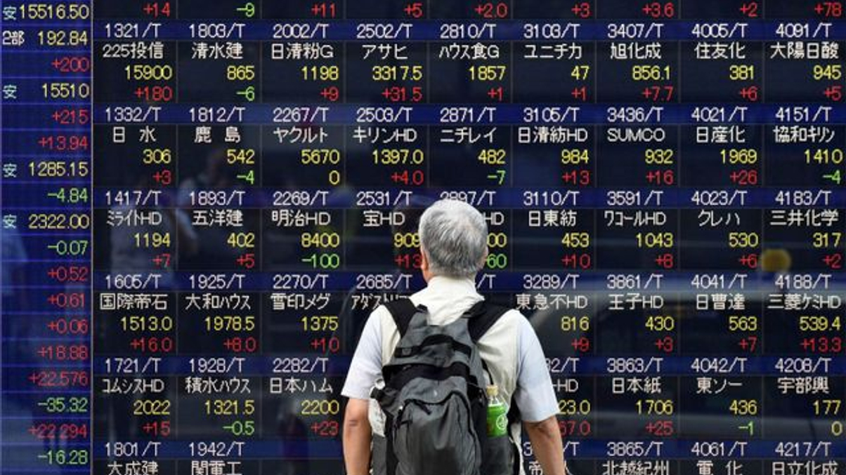 Japanese life insurers divided on equities exposure