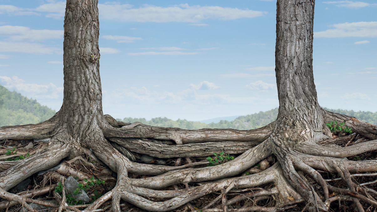 Megatrends: How fewer data providers would help ESG spread