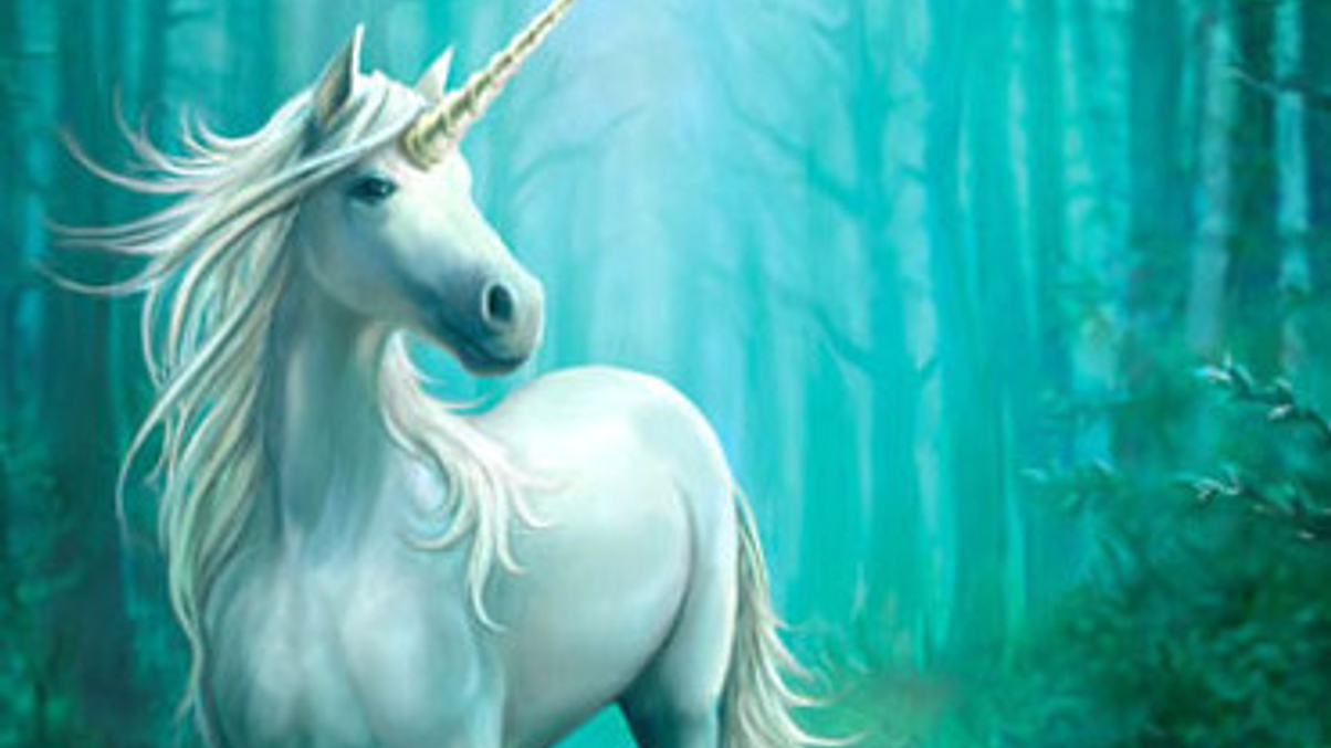Why unicorn hunting could be costly for family offices