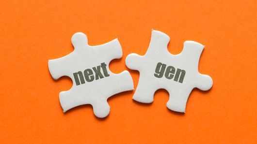 Private banks invest in future leaders with next-gen programmes Private banks invest in future leaders with next-gen programmes