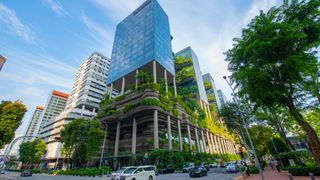 Hong Kong and Singapore defy regional outflows to attract sustainable funds Hong Kong and Singapore defy regional outflows to attract sustainable funds