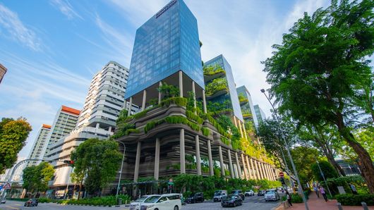 Hong Kong and Singapore defy regional outflows to attract sustainable funds Hong Kong and Singapore defy regional outflows to attract sustainable funds