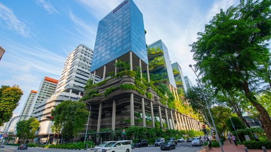 Hong Kong and Singapore defy regional outflows to attract sustainable funds Hong Kong and Singapore defy regional outflows to attract sustainable funds