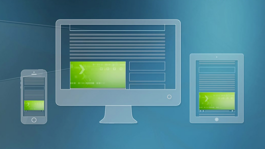 The new submariners: how businesses are transitioning to subscription models The new submariners: how businesses are transitioning to subscription models