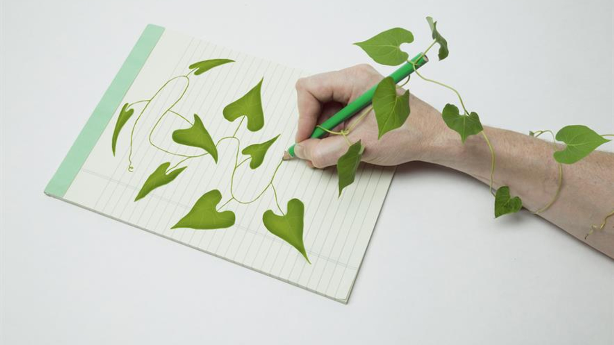 Asset owner platform: Market cap strategies need re-think