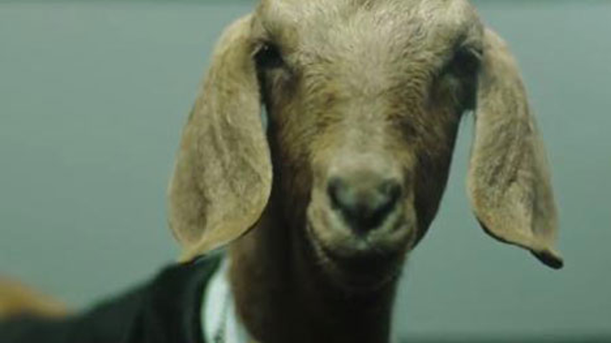 Tread carefully in Year of the Goat: CLSA