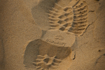 Timberland's Earthkeeper ...