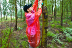 Timberland's Earthkeeper ...