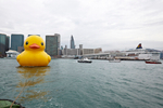 Giant rubber duck makes ...