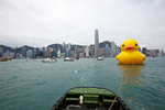 Giant rubber duck makes ...