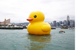 Giant rubber duck makes ...