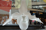 Marc Quinn