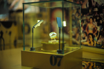 Landmark sponsors exhibit ...
