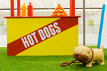 LCX runs cheeky hotdog ...