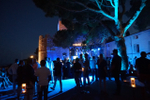 Cannes 2015图集...