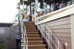 Cannes 2015图集...