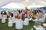 Cannes 2015图集...