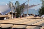 Cannes 2015图集...