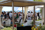 Cannes 2015图集...