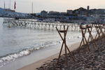 Cannes 2015图集...