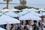 Cannes 2015图集...