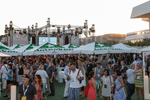 Cannes 2015图集...
