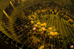 Getty Images names SG50 ...
