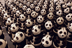 Panda Eyes - UK - Jason ...