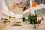 Best spaces to work: Rice ...