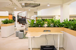 Best spaces to work: Rice ...