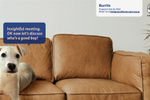 SPCA hijacks video ...