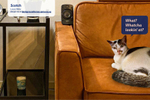 SPCA hijacks video ...