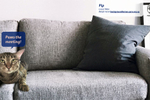 SPCA hijacks video ...