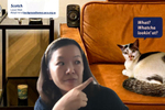 SPCA hijacks video ...