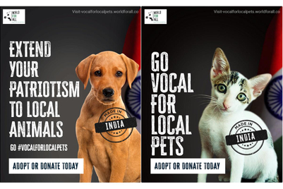 World For All targets discrimination against local pets