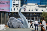 Beautiful swan conveys an ...