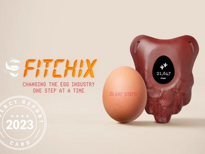 Agency Report Card 2023: VMLY&R