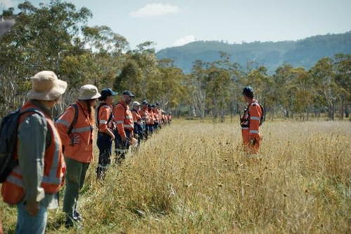 Aldi redefines value with humour, hi-vis, and hommus