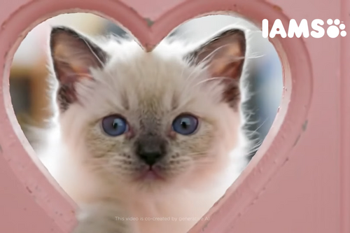 Petfood brand Iams deploys AI-powered video tool to persuade people into pet ownership