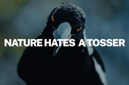 Australian environmental ad warns 'tossers' they're always watched