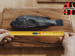 Agency Report Card 2020: Cheil Worldwide