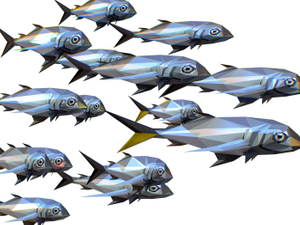 Go fishing for digital talent during the tech crash