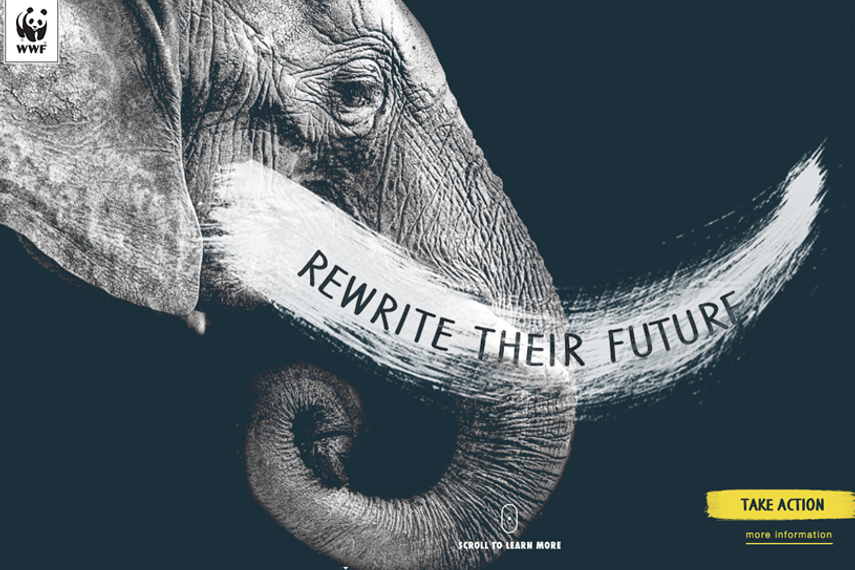 WWF asks HK to rename tusks to save elephants | The Work | Campaign Asia